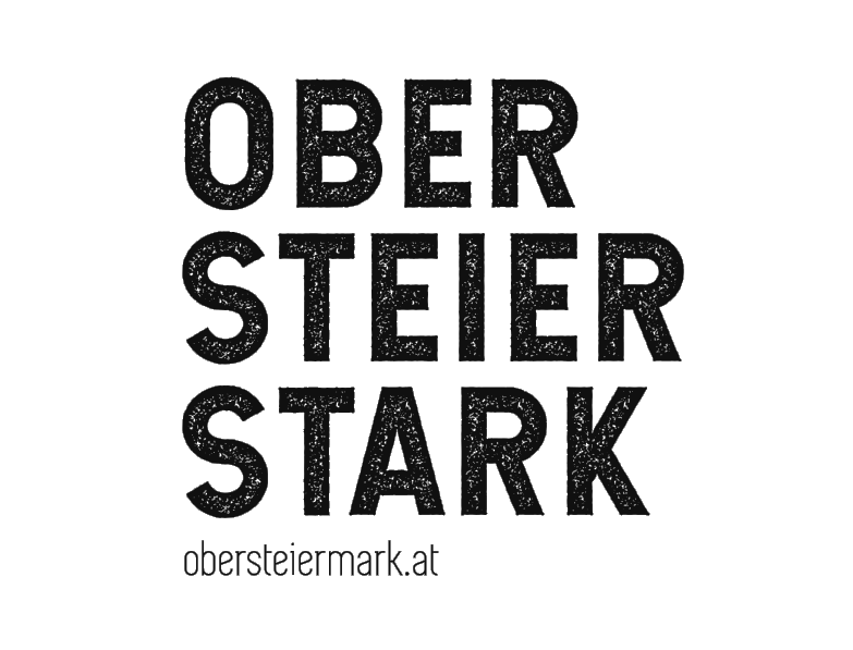 Moduldrei Referenz – Regionalmanagement Obersteiermark Ost